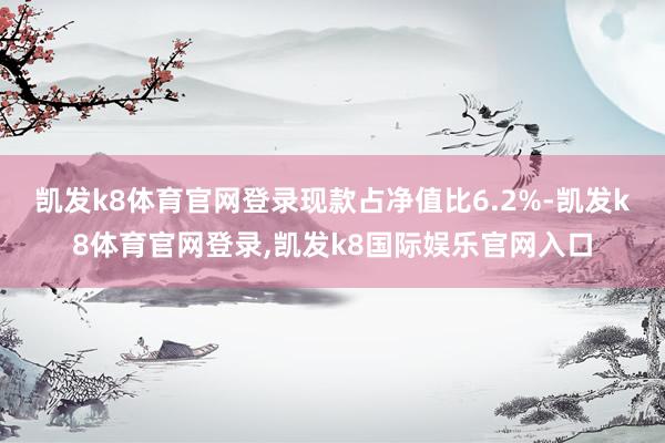 凯发k8体育官网登录现款占净值比6.2%-凯发k8体育官网登录,凯发k8国际娱乐官网入口