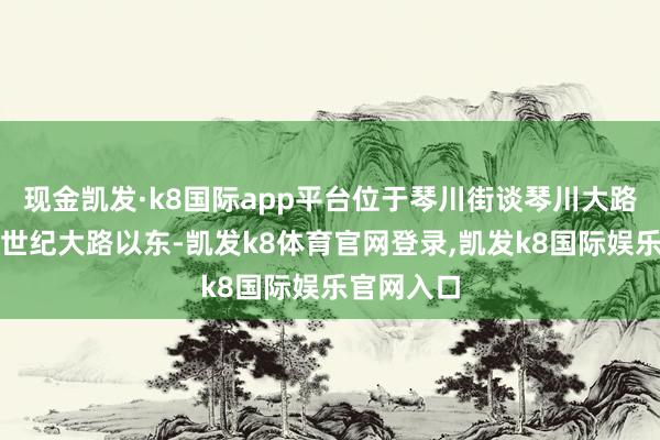 现金凯发·k8国际app平台位于琴川街谈琴川大路以南、新世纪大路以东-凯发k8体育官网登录,凯发k8国际娱乐官网入口