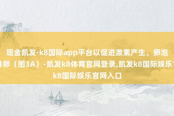 现金凯发·k8国际app平台以促进激素产生、卵泡进修和排卵（图3A）-凯发k8体育官网登录,凯发k8国际娱乐官网入口